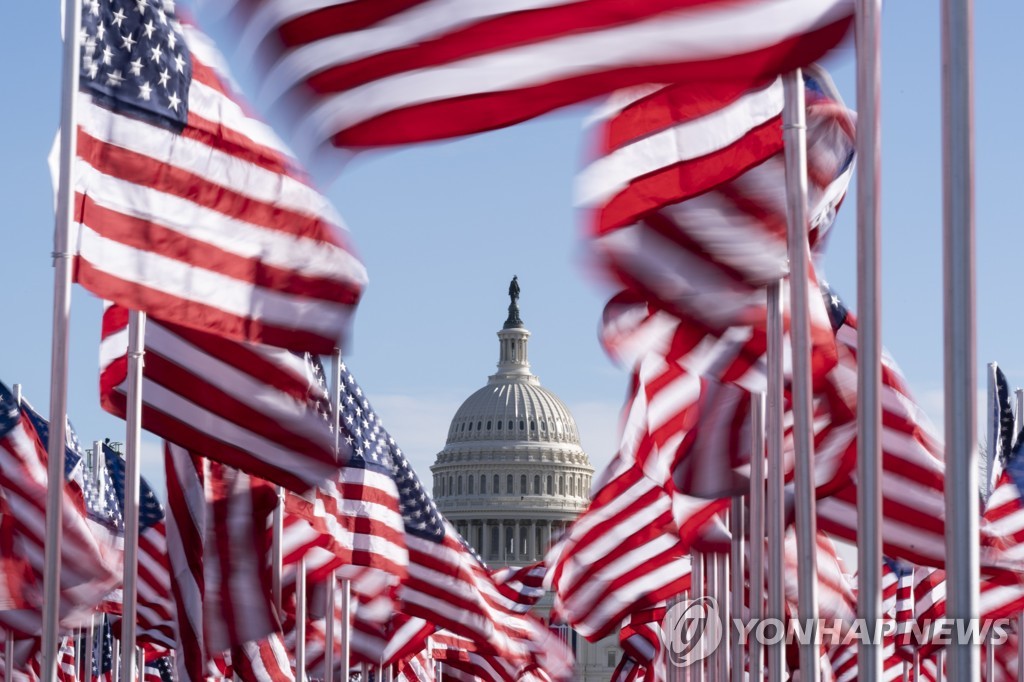 Biden Inauguration Flags