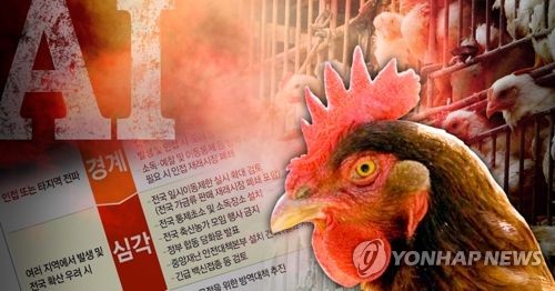 AI 위기경보 최고단계 '심각' 격상 (PG)