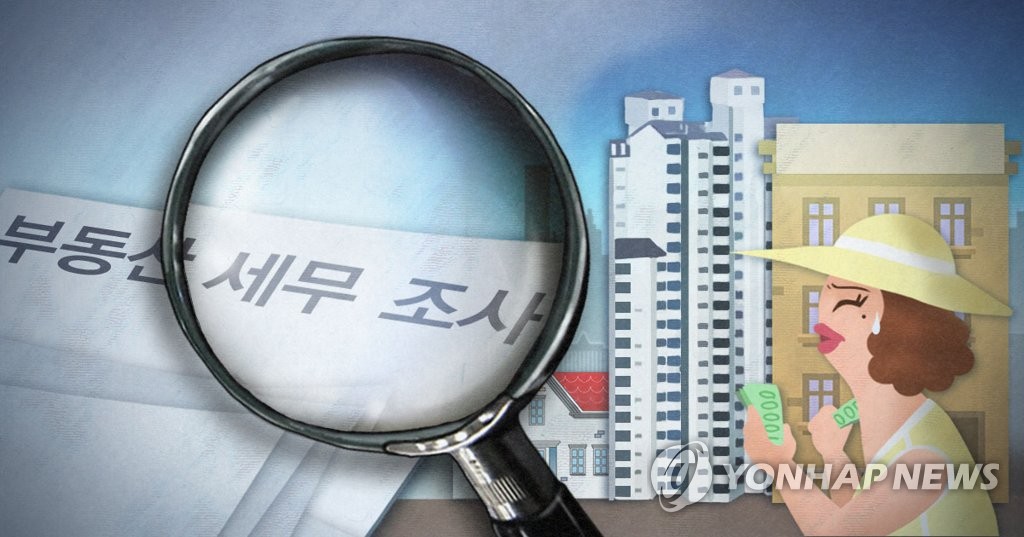 부동산 투기·탈세 세무조사(PG)