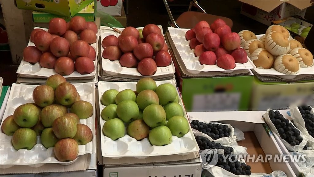 사과 배 포도