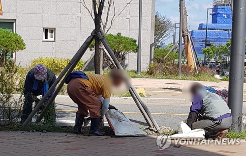 일하는 노인들