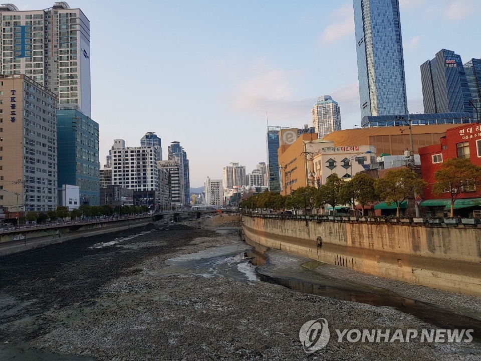 동천 하류