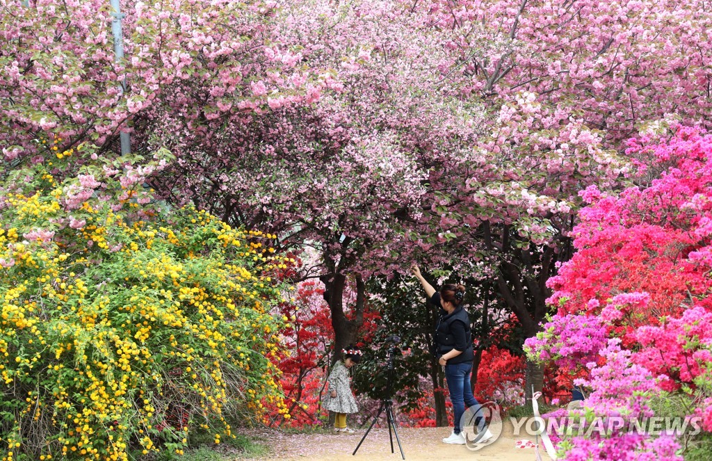전주 완산칠봉 꽃동산