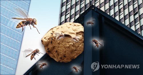 도심 빌딩 벌집 (PG)