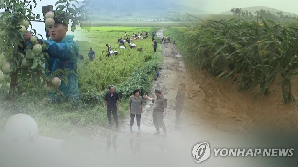 지난해 태풍 피해를 입은 북한의 경작지