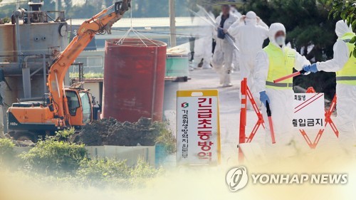 아프리카돼지열병