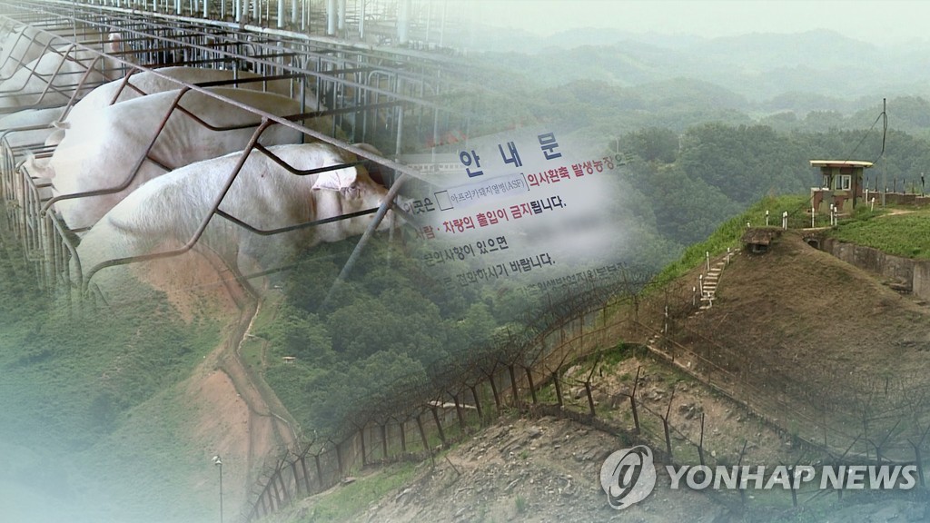 국방부 "DMZ서 헬기 동원 7일간 방역…北에 통보" (CG)