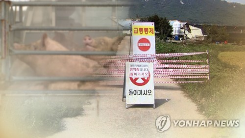 아프리카돼지열병