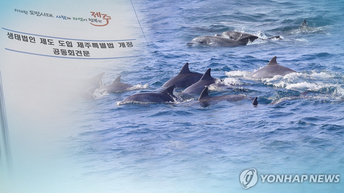 남방큰돌고래에 법적 권리를…제주도, 국내 첫 '생태법인' 추진 (CG)