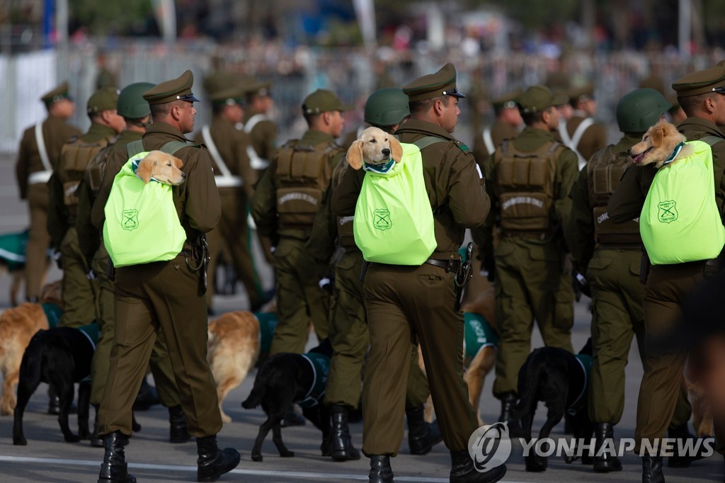 CHILE-INDEPENDENCE-DAY-PARADE
