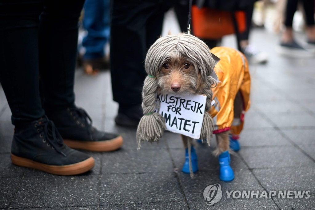 US-LIFESTYLE-HALLOWEEN-DOG