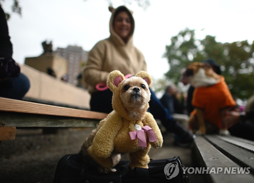 US-LIFESTYLE-HALLOWEEN-DOG