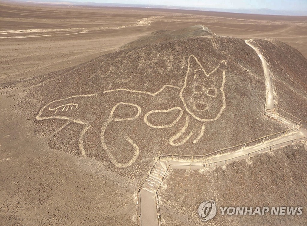 2천년전 고양이 그림…페루 나스카서 37m 고대 지상화 발견