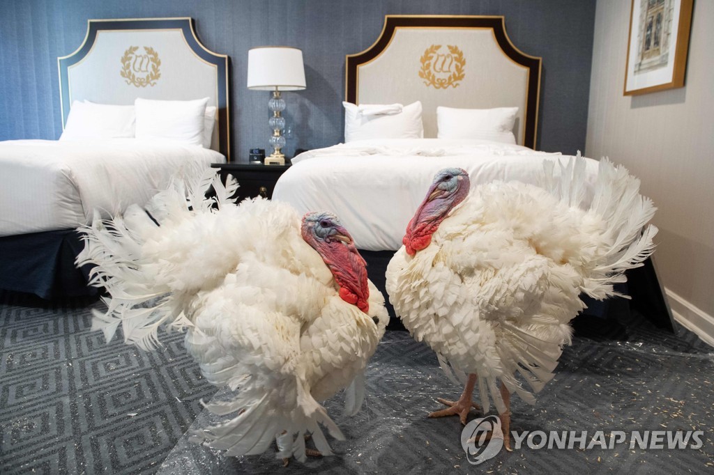 TOPSHOT-US-HOLIDAY-ANIMAL
