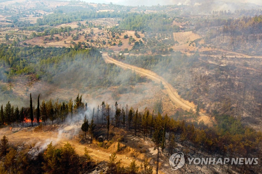 TURKEY-FIRE
