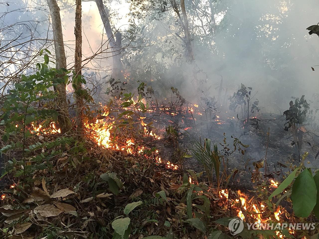 BRAZIL FIRES
