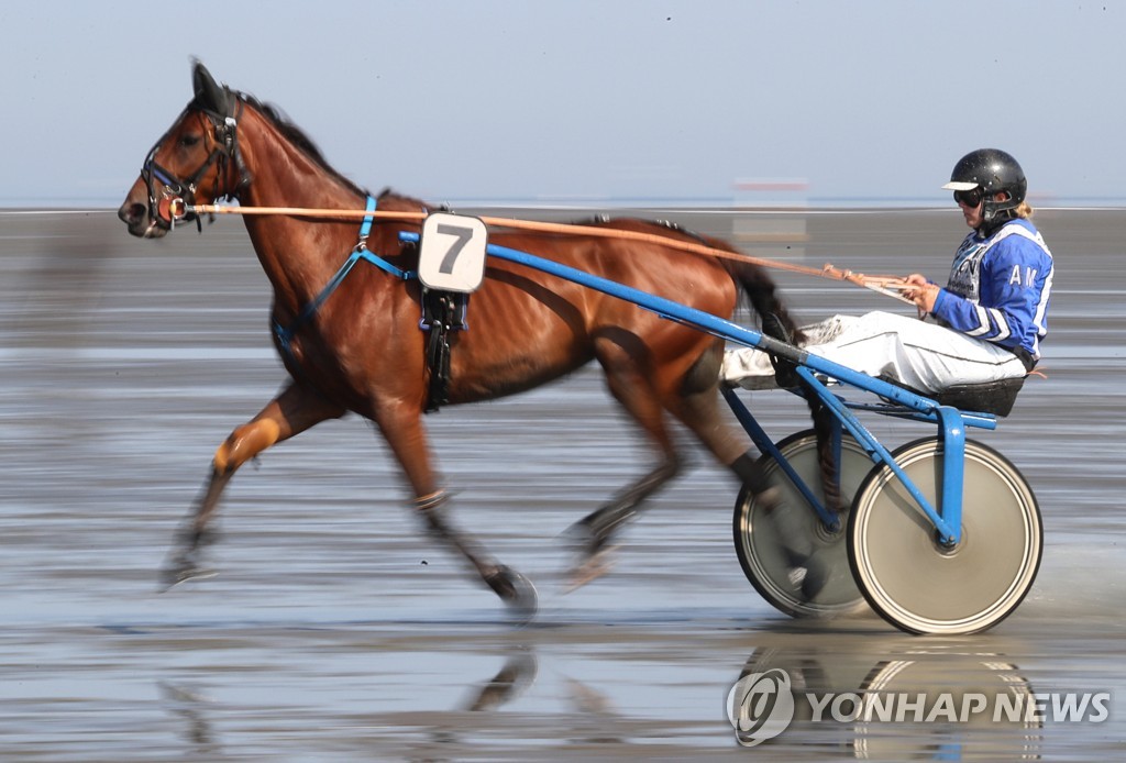 GERMANY EQUESTRIAN WADDEN SEA RACE