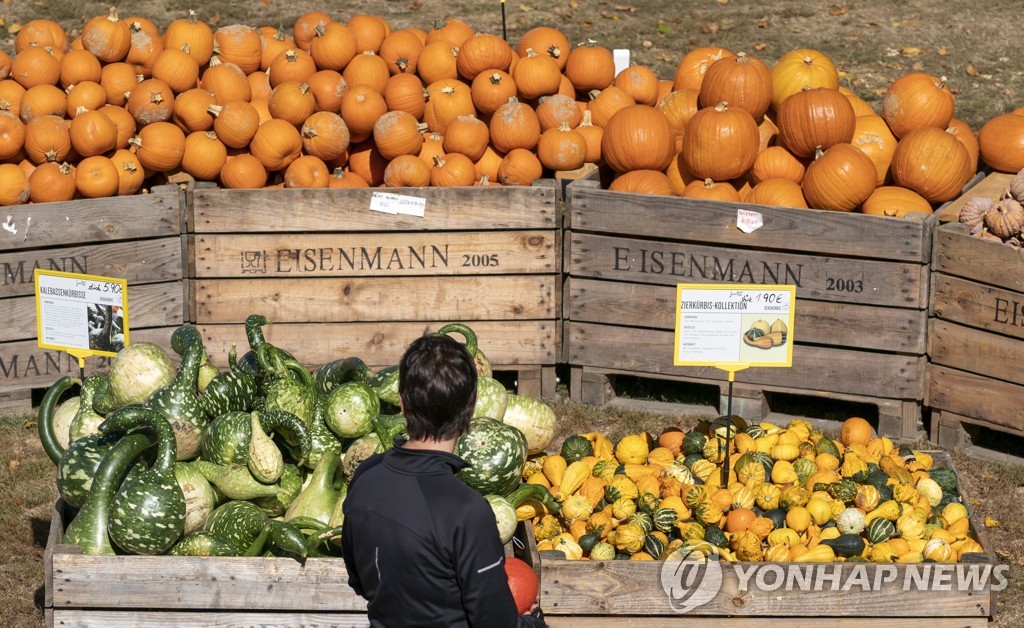 GERMANY PUMPKIN FESTIVAL