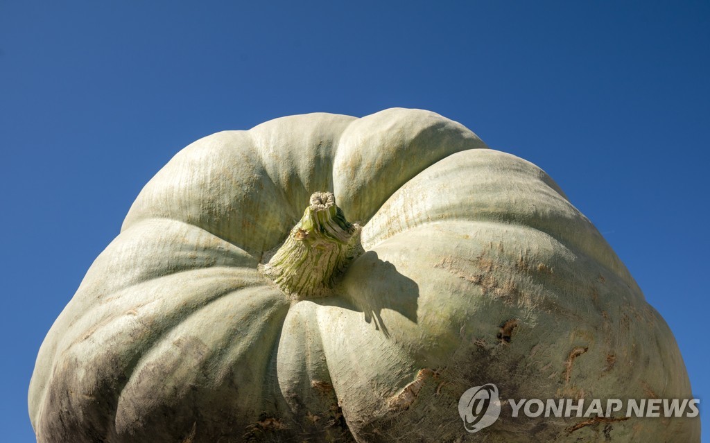 GERMANY PUMPKIN FESTIVAL