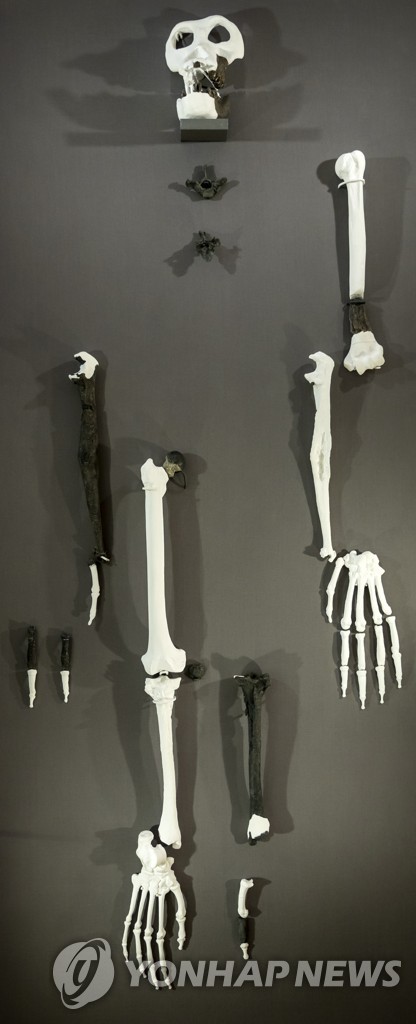 GERMANY ARCHEOLOGY