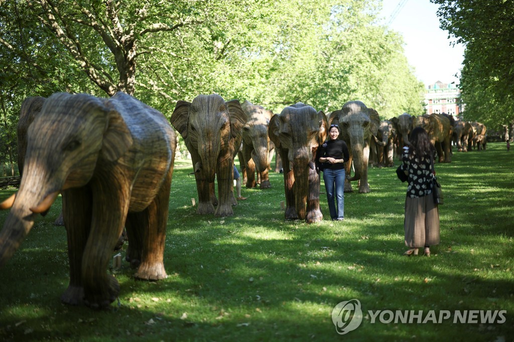 BRITAIN-ENVIRONMENT/ELEPHANTS