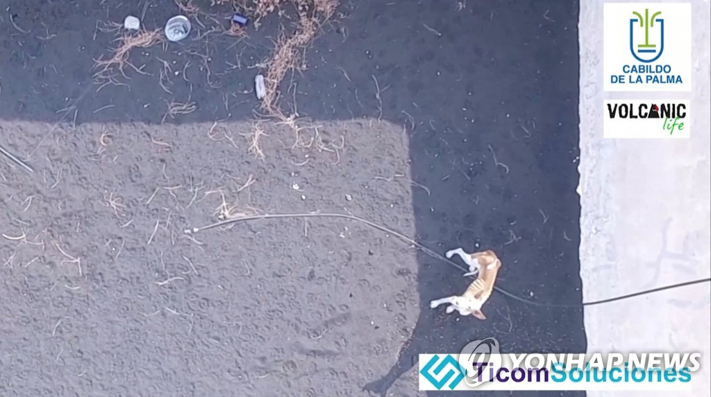 SPAIN-VOLCANO/DRONE-DOGS