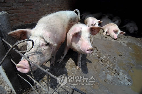중국, 멕시코에 500만달러상당 인도적 원조