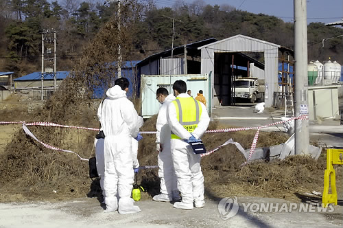 7개월 만에 구제역 발생