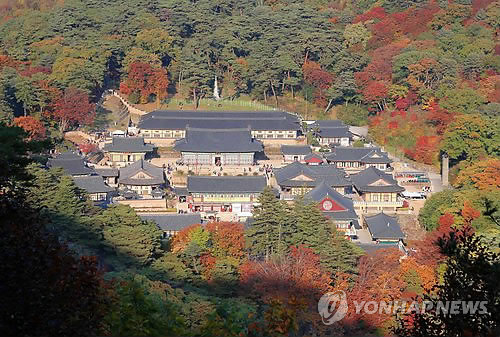 단풍으로 둘러싸인 해인사