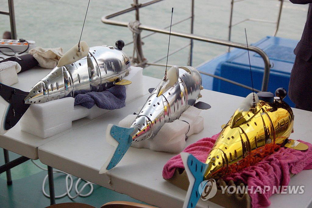 4대강 수질검사용 로봇물고기(생체모방형 수중로봇) <<연합뉴스 자료사진>>