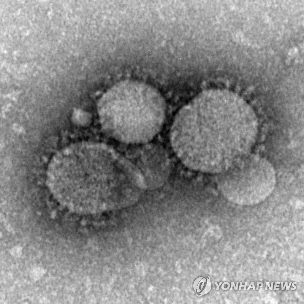 현미경에서 관찰된 중동호흡기증후군 바이러스의 모습 (연합뉴스 자료사진)