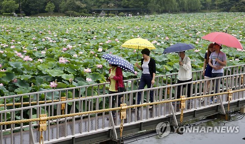 덕진공원 연화교