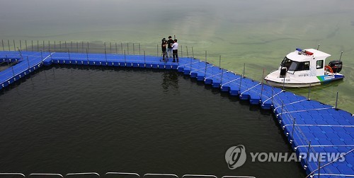 조류주의보 내려진 팔당호