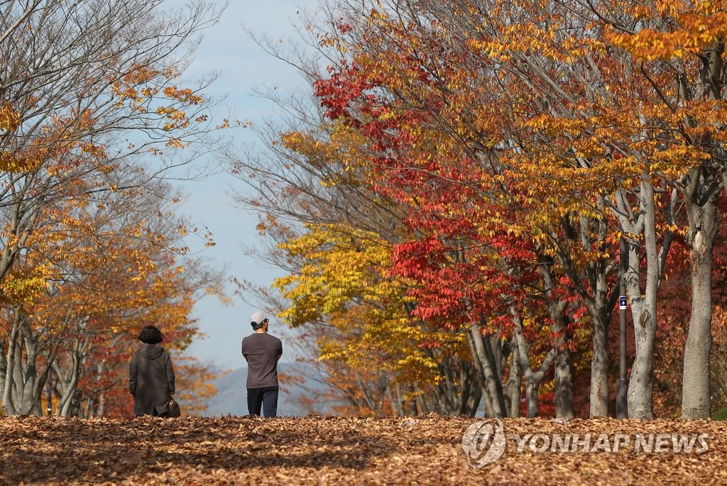 <날씨> 낮기온 오르고 맑음…큰 일교차 '주의'(12일) - 1