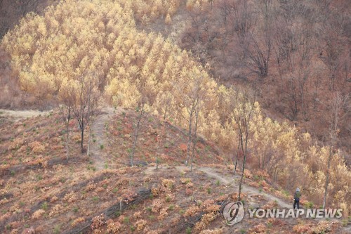 둘레길이 조성된 DMZ 펀치볼