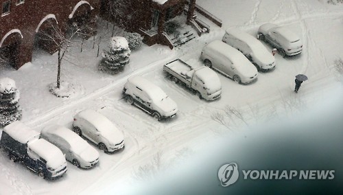 <최강한파> 눈, 눈, 눈