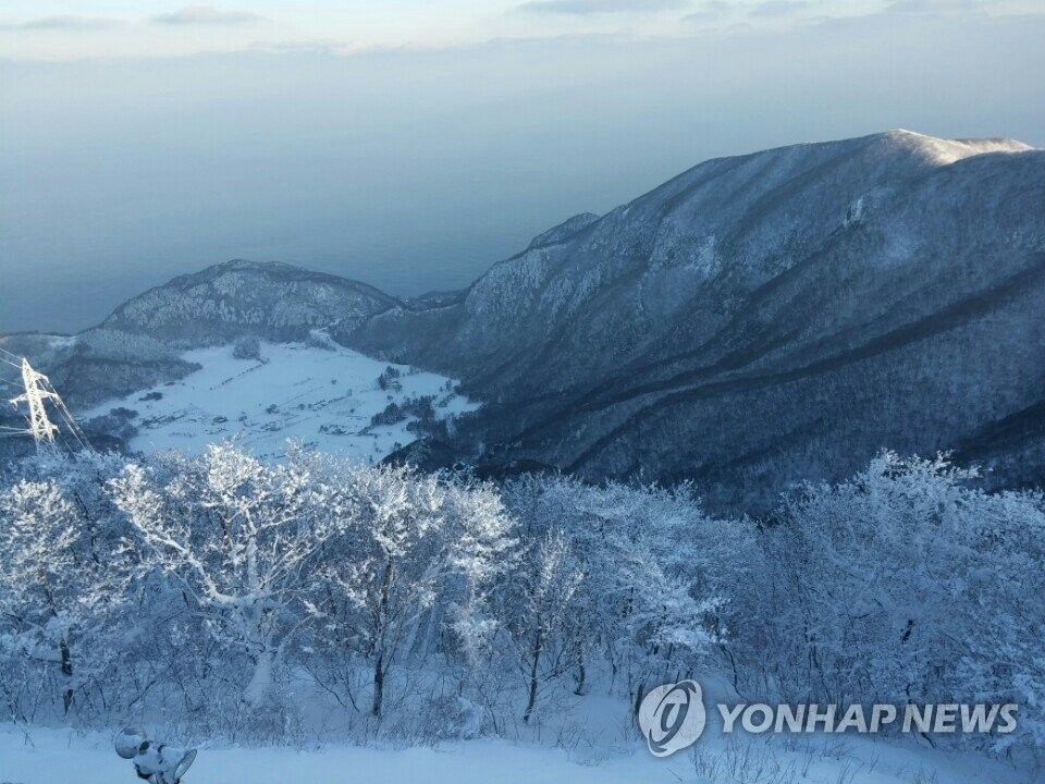 눈꽃 핀 울릉도(연합뉴스 자료사진)