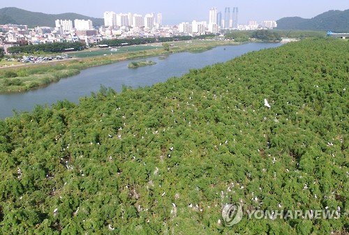 울산 태화강 전경