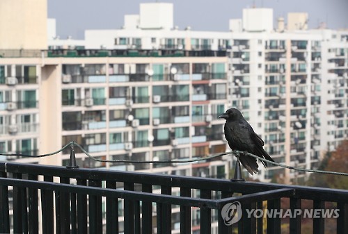 '11·3대책'에 분양시장 희비 엇갈려…지역별 온도차 - 3