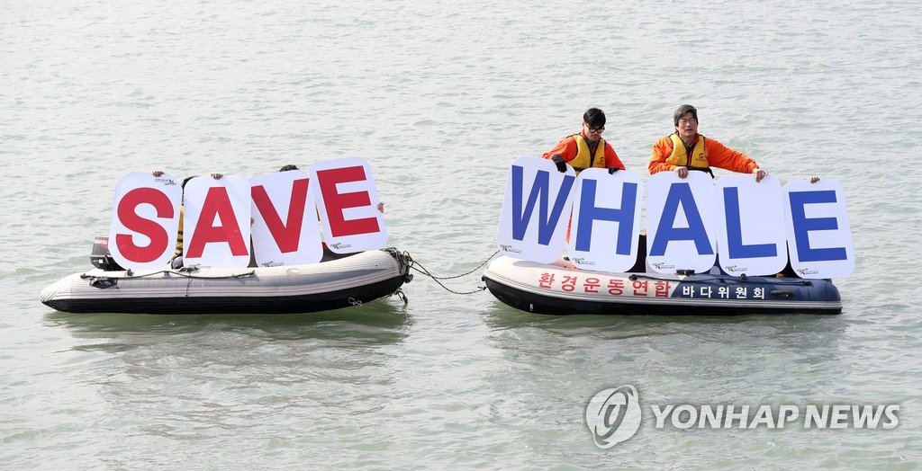 '돌고래를 구하라'…퍼포먼스 하는 환경단체