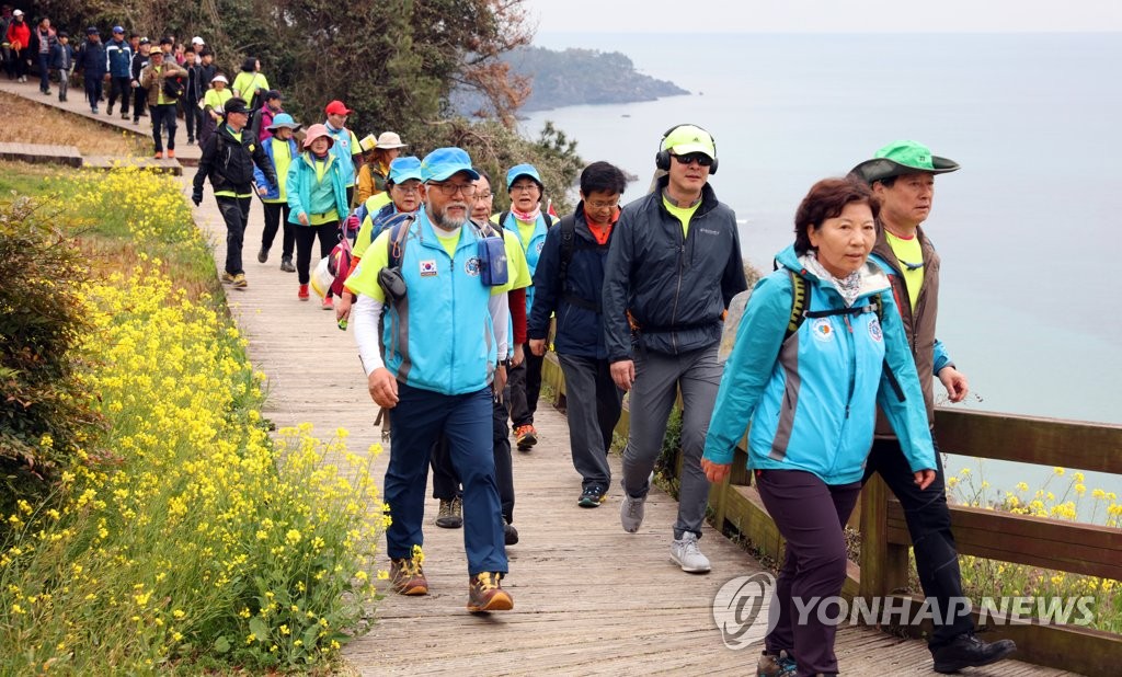 제주 유채꽃 해변 걸으며 힐링