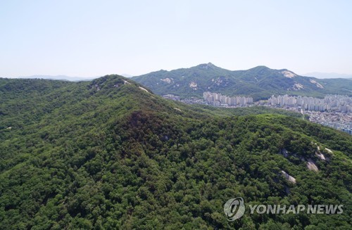 '화마의 흔적'