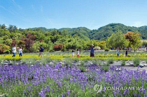 보랏빛 향기를 즐겨요