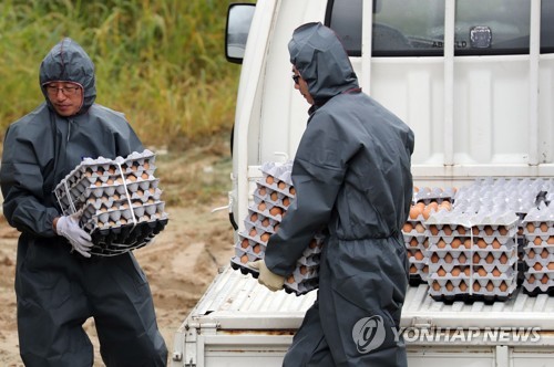 에톡사졸 검출 살충제계란, 전량 회수