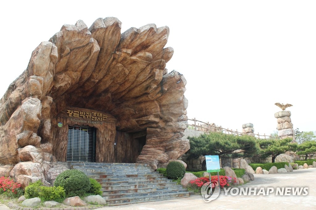 애물단지 황금박쥐생태 전시관