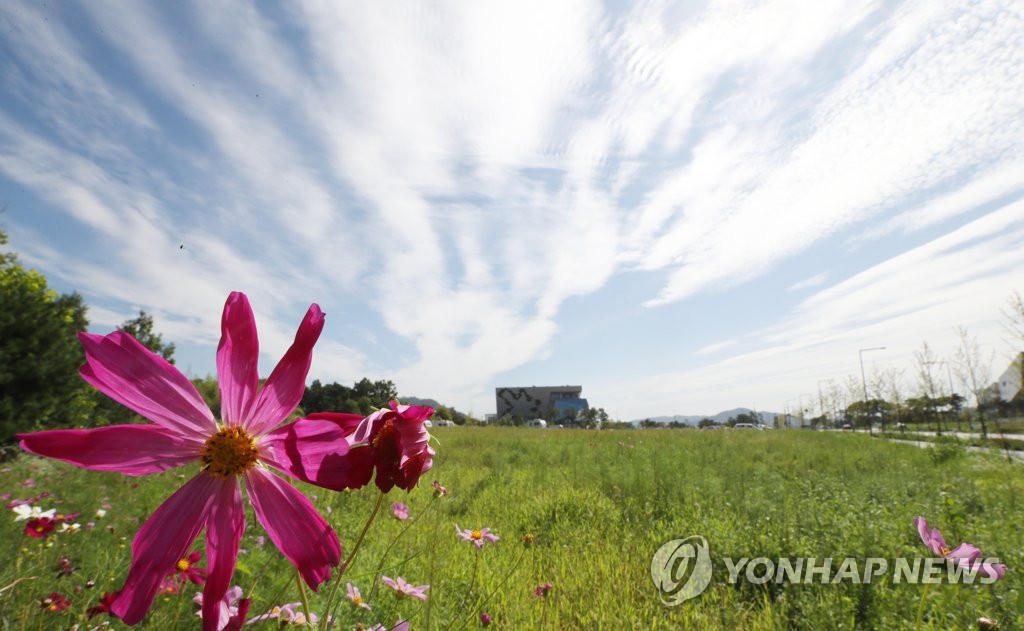 '성큼 다가온 가을하늘'