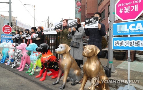 동물해방물결의 개 식용 반대 기자회견