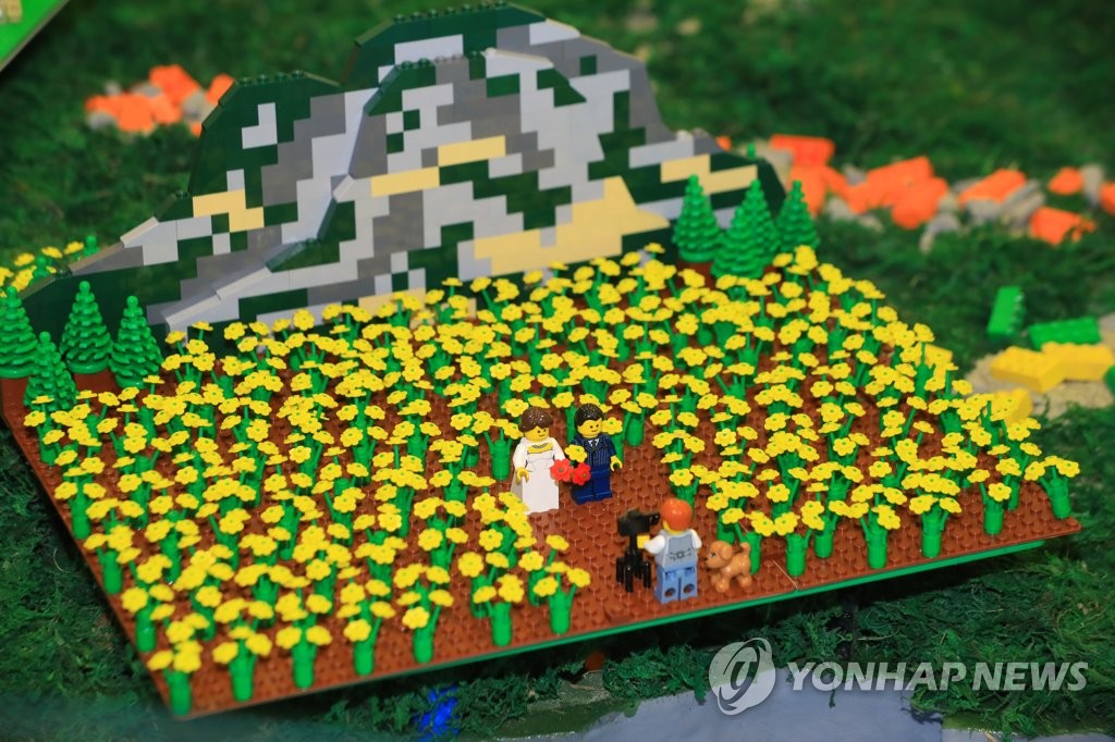 브릭으로 표현한 제주도
