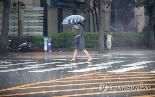 소나기 내린 오후