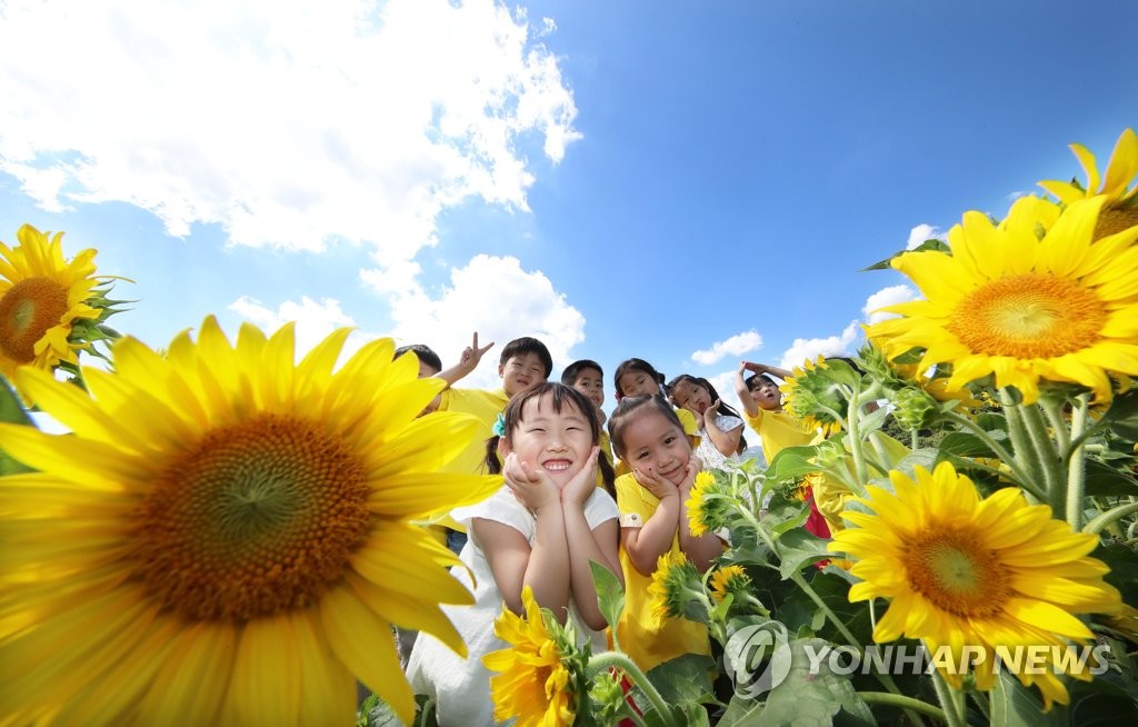 파란 하늘과 노란 해바라기